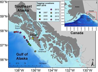 Movement and diving behavior of satellite-tagged male sperm whales in the Gulf of Alaska